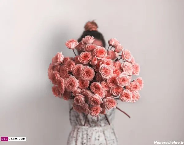  عکس گل برای پروفایل واتساپ