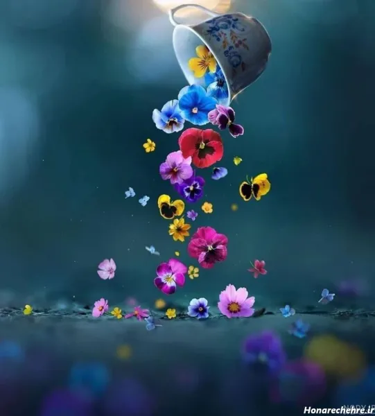  عکس گل برای پروفایل واتساپ