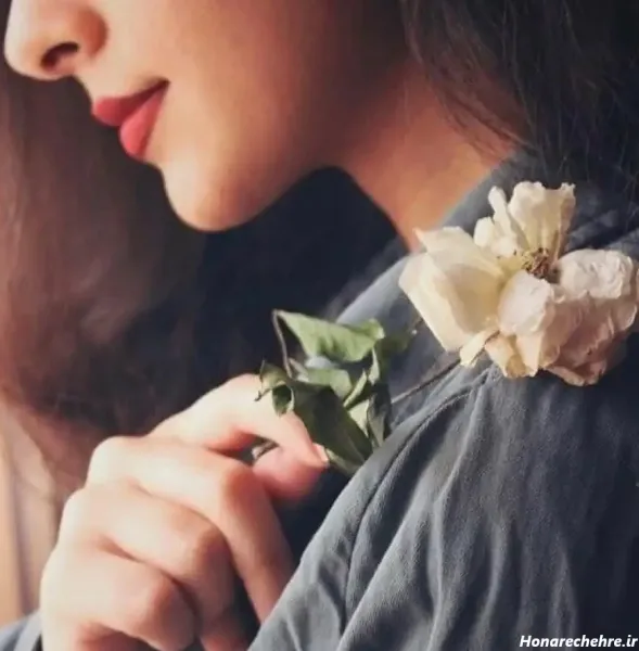  عکس گل برای پروفایل واتساپ