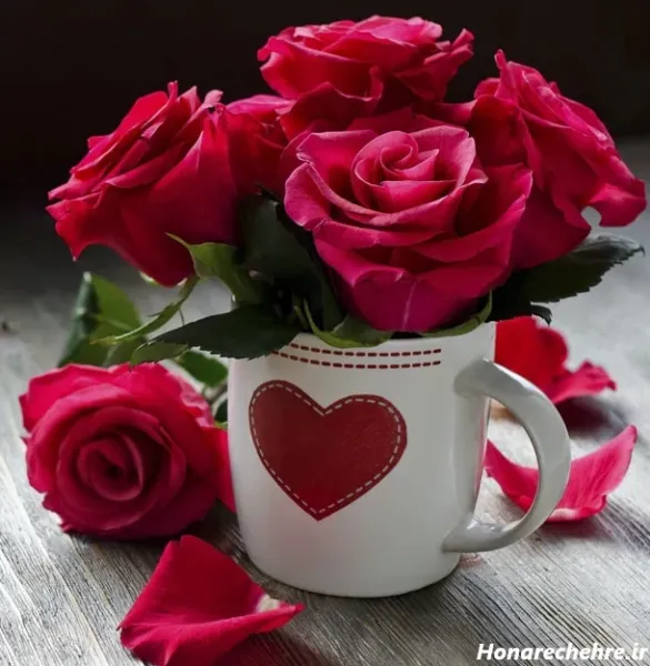  عکس گل برای پروفایل واتساپ