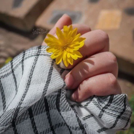  عکس گل برای پروفایل واتساپ جدید ایرانی