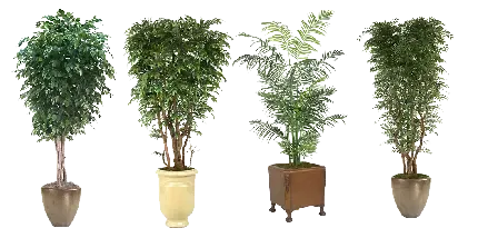  عکس گل برای پروفایل واتساپ نوشته دار