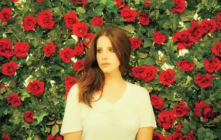  عکس گل برای پروفایل واتساپ نوشته دار