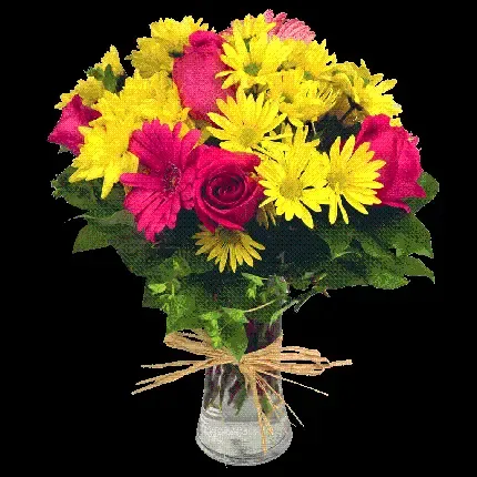  عکس گل برای پروفایل واتساپ نوشته دار