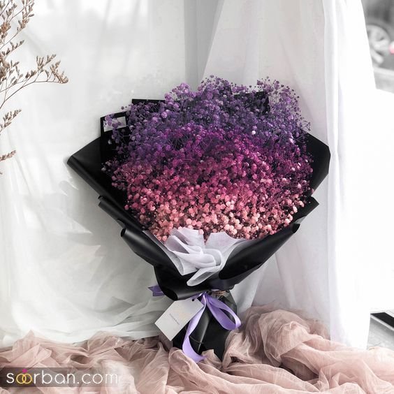 عکس گل ژیپسوفیلا سفید