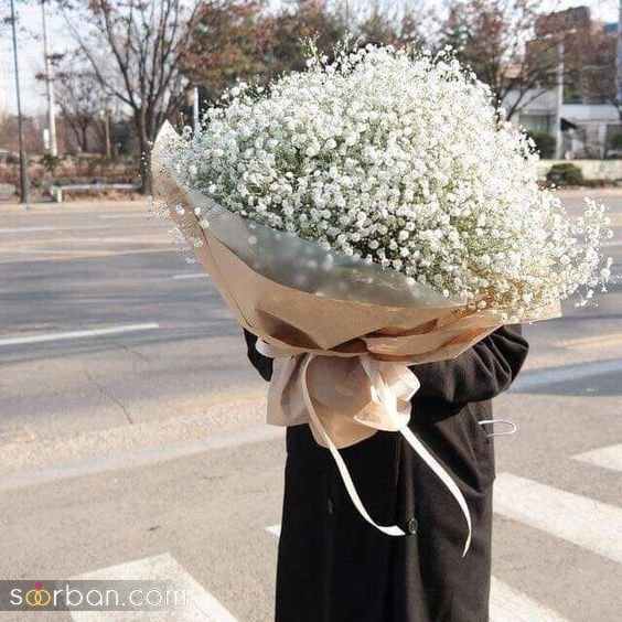  ایده عکاسی با گل ژیپسوفیلا