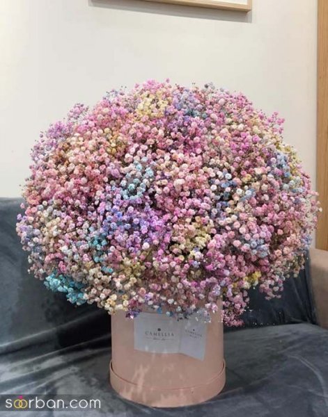  ایده عکاسی با گل ژیپسوفیلا