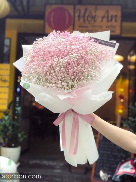  ایده عکاسی با گل ژیپسوفیلا