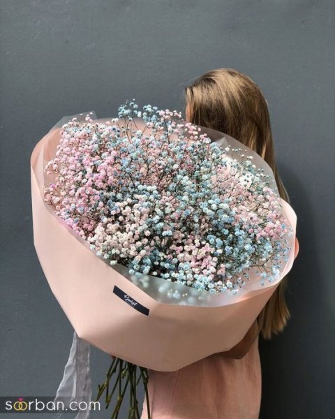 عکس گل ژیپسوفیلا سفید