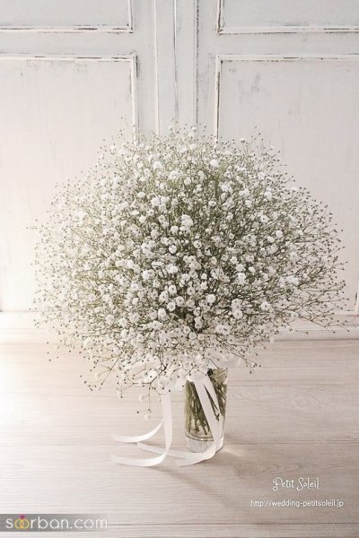 عکس گل ژیپسوفیلا سفید