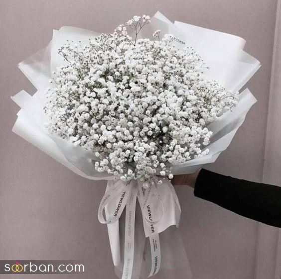 قیمت گل ژیپسوفیلا دیجی کالا