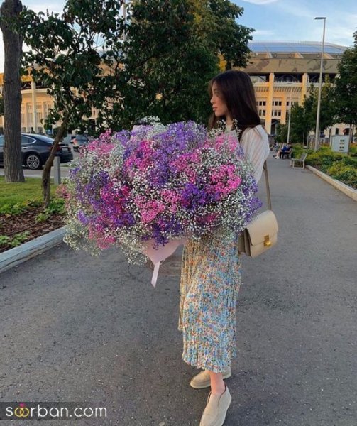 قیمت گل ژیپسوفیلا دیجی کالا