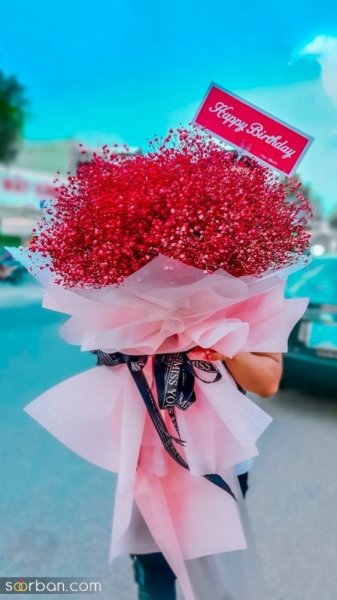 قیمت گل ژیپسوفیلا دیجی کالا