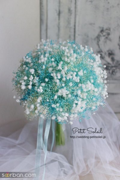  عکس گل ژیپسوفیلا سفید