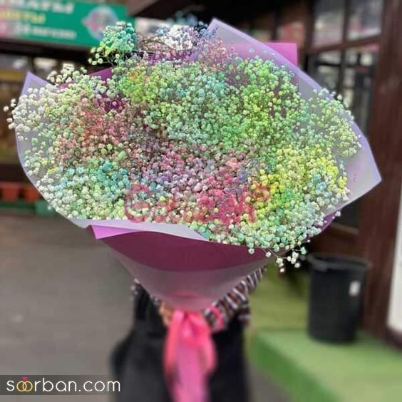  عکس گل ژیپسوفیلا سفید