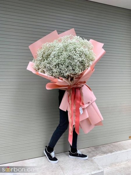  عکس گل ژیپسوفیلا سفید