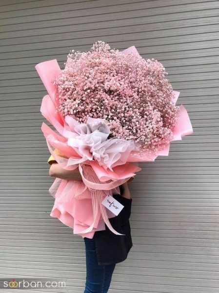  عکس گل ژیپسوفیلا سفید