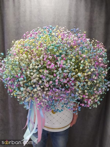  عکس گل ژیپسوفیلا سفید