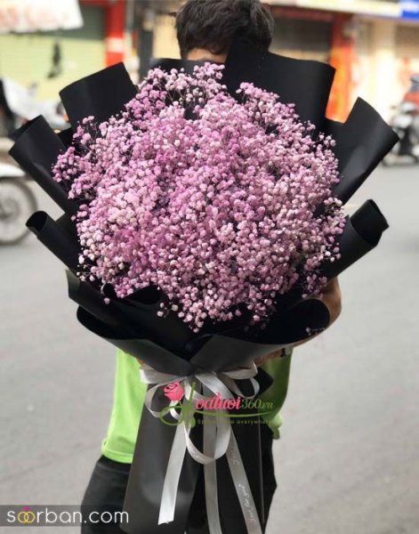  عکس گل ژیپسوفیلا سفید