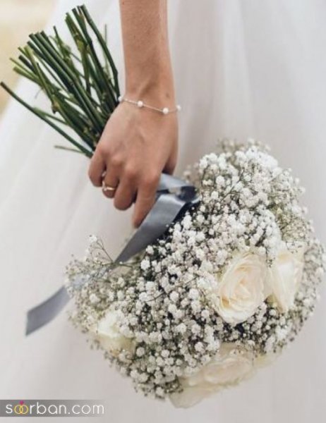  عکس گل ژیپسوفیلا سفید