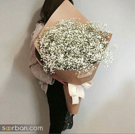 قیمت گل ژیپسوفیلا دیجی کالا