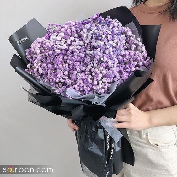 قیمت گل ژیپسوفیلا دیجی کالا