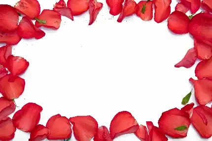  عکس های ولنتاین