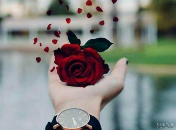 عکس ولنتاین تو ماشین