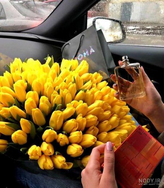  عکس ولنتاین تو ماشین