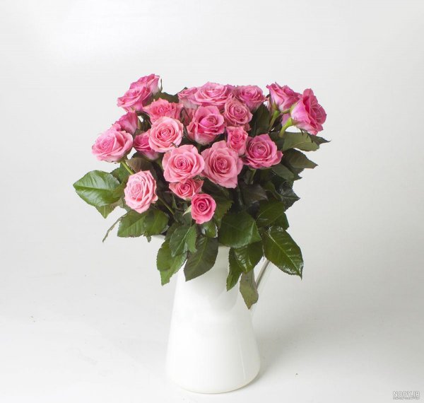  عکس ولنتاین تو ماشین