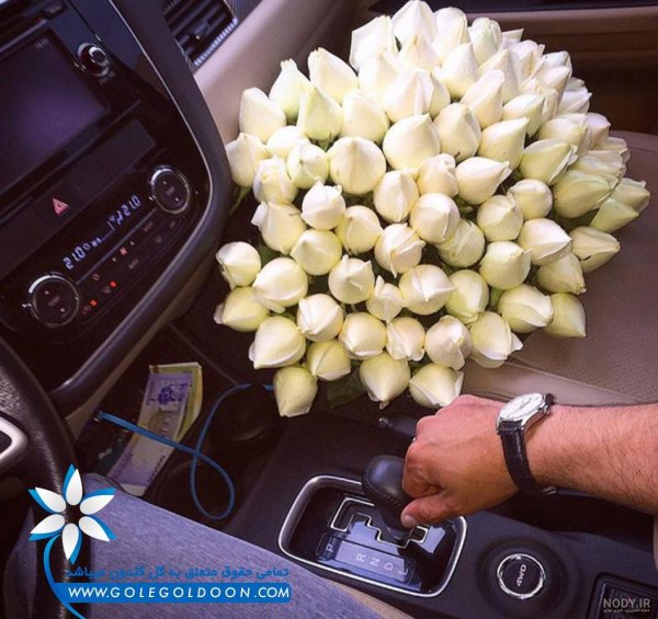  عکس ولنتاین تو ماشین