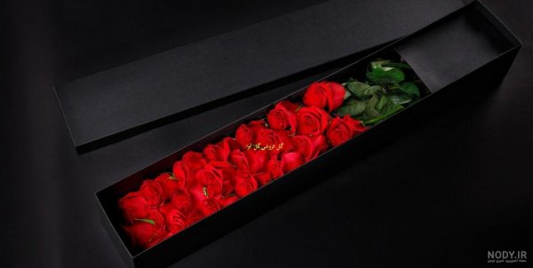  عکس ولنتاین تو ماشین