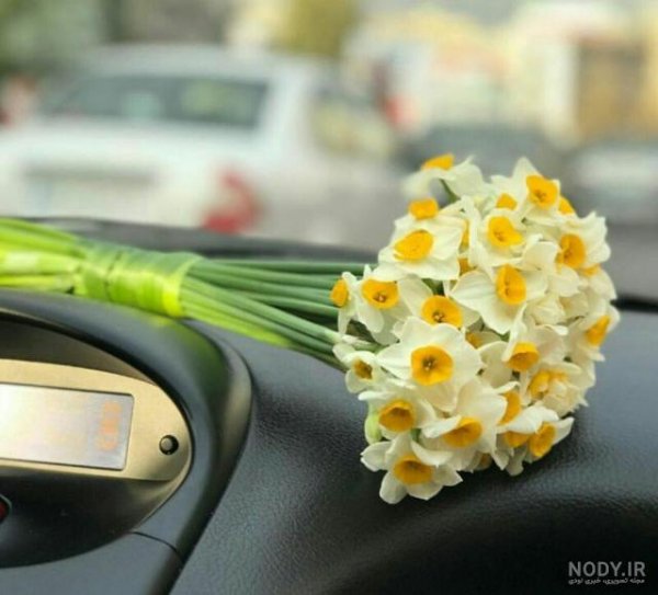 عکس دونفره داخل ماشین