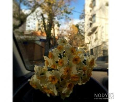 عکس دونفره داخل ماشین