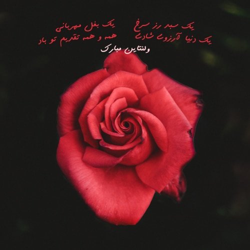  90 عکس ولنتاین خاص