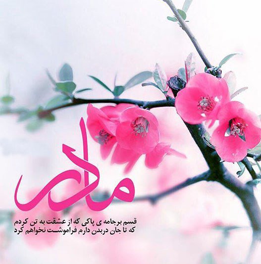  200 عکس روز مادر 1404