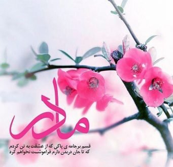  120 عکس پروفایل مادر عزیزم