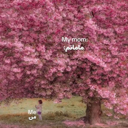  عکس مادر مهربان