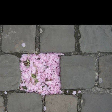  عکس مادر دختری واقعی