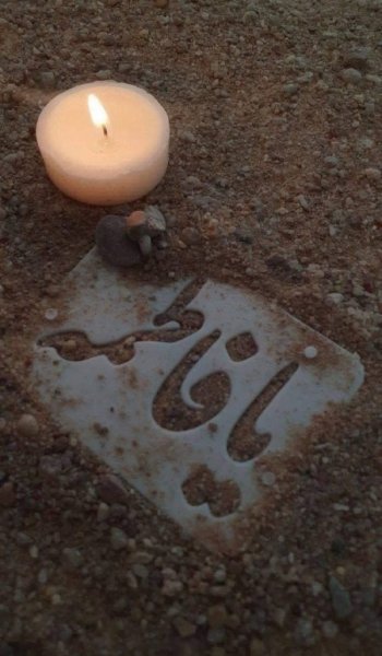  پروفایل فاطمیه 1404