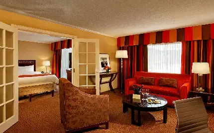  عکس پروفایل خانم دکتر آینده