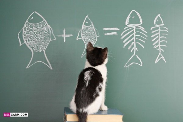  عکس پروفایل برای گروه مدرسه