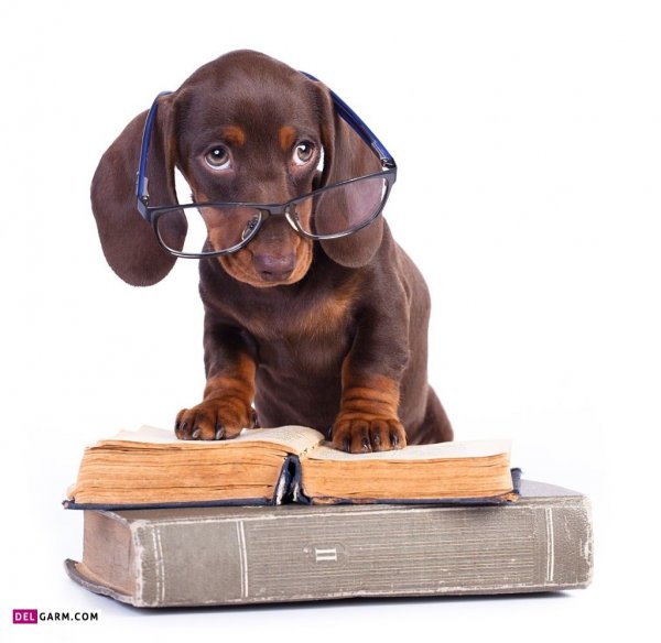  عکس پروفایل برای گروه مدرسه دخترانه