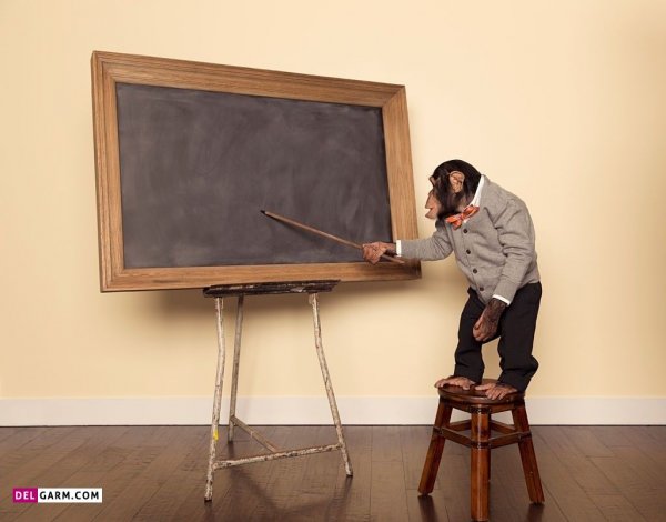  عکس پروفایل برای گروه مدرسه بدون متن