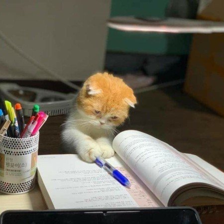  عکس مدرسه برای پروفایل