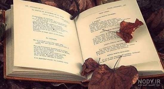  عکس درس خوندن لاکچری پسرانه