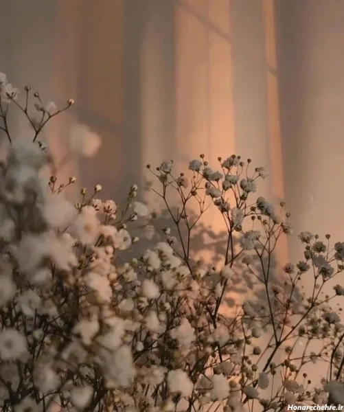  عکس پروفایل درسی دخترانه