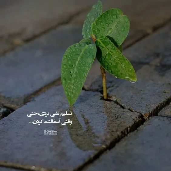  عکس انگیزشی بدون متن دخترانه