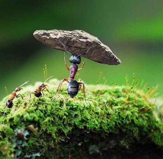  عکس پس زمینه انگیزشی بدون متن