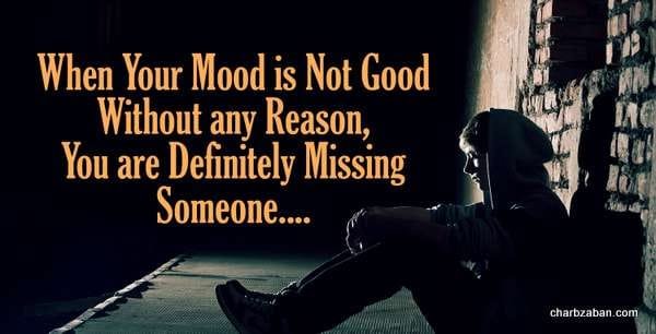  پروفایل انگلیسی لاکچری